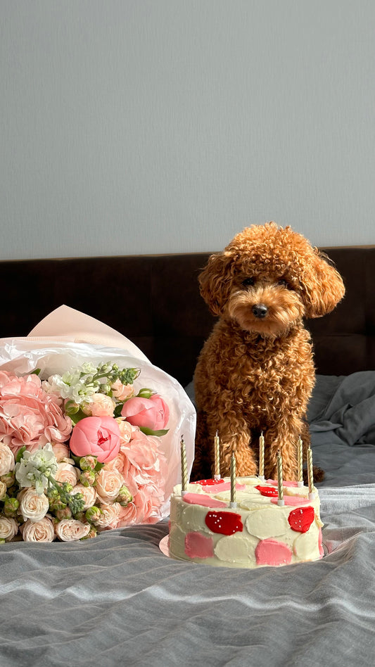 The Ultimate Gift Guide for Dog Mums: Thoughtful Presents for Dog Lovers