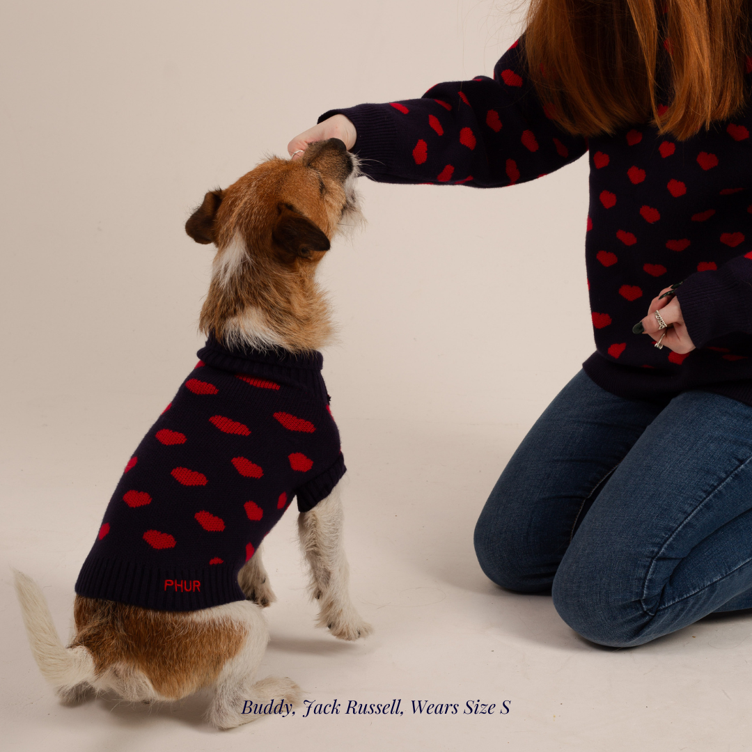 The Heart Dog Jumper