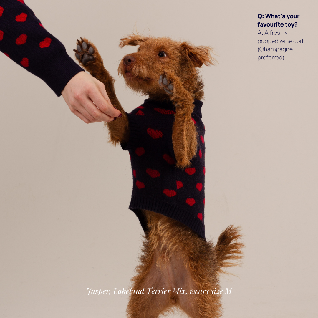 The Heart Dog Jumper