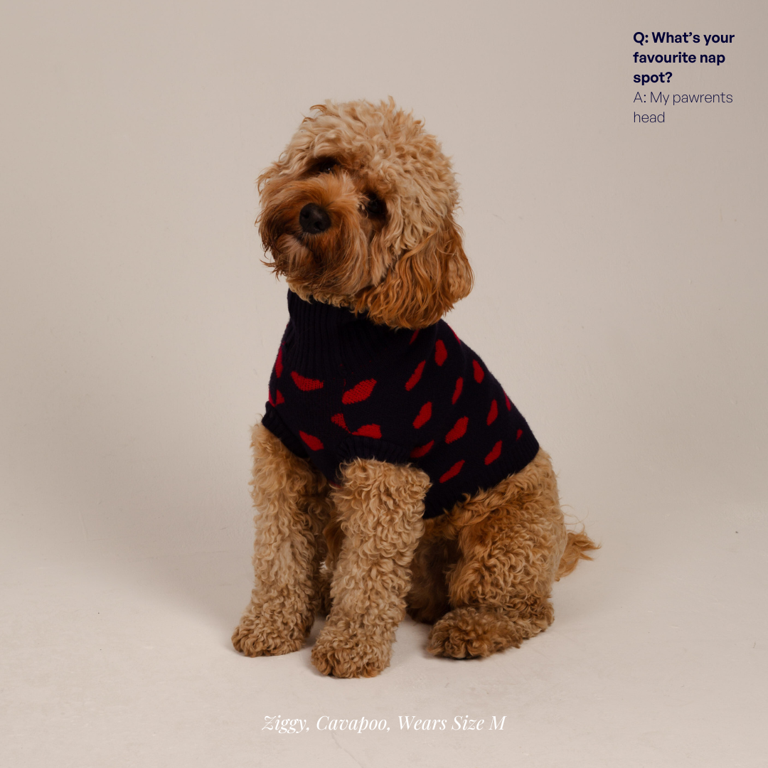 The Heart Dog Jumper