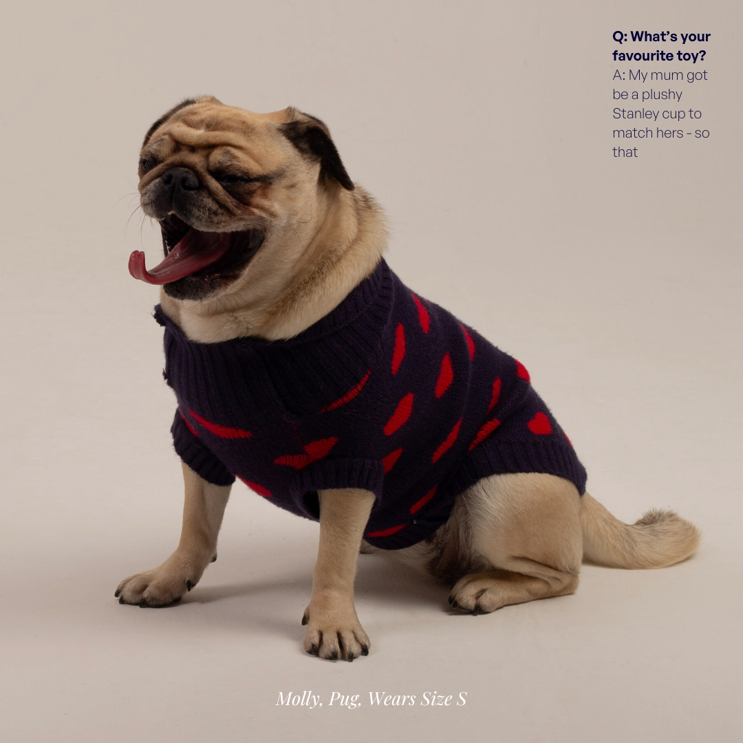 The Heart Dog Jumper