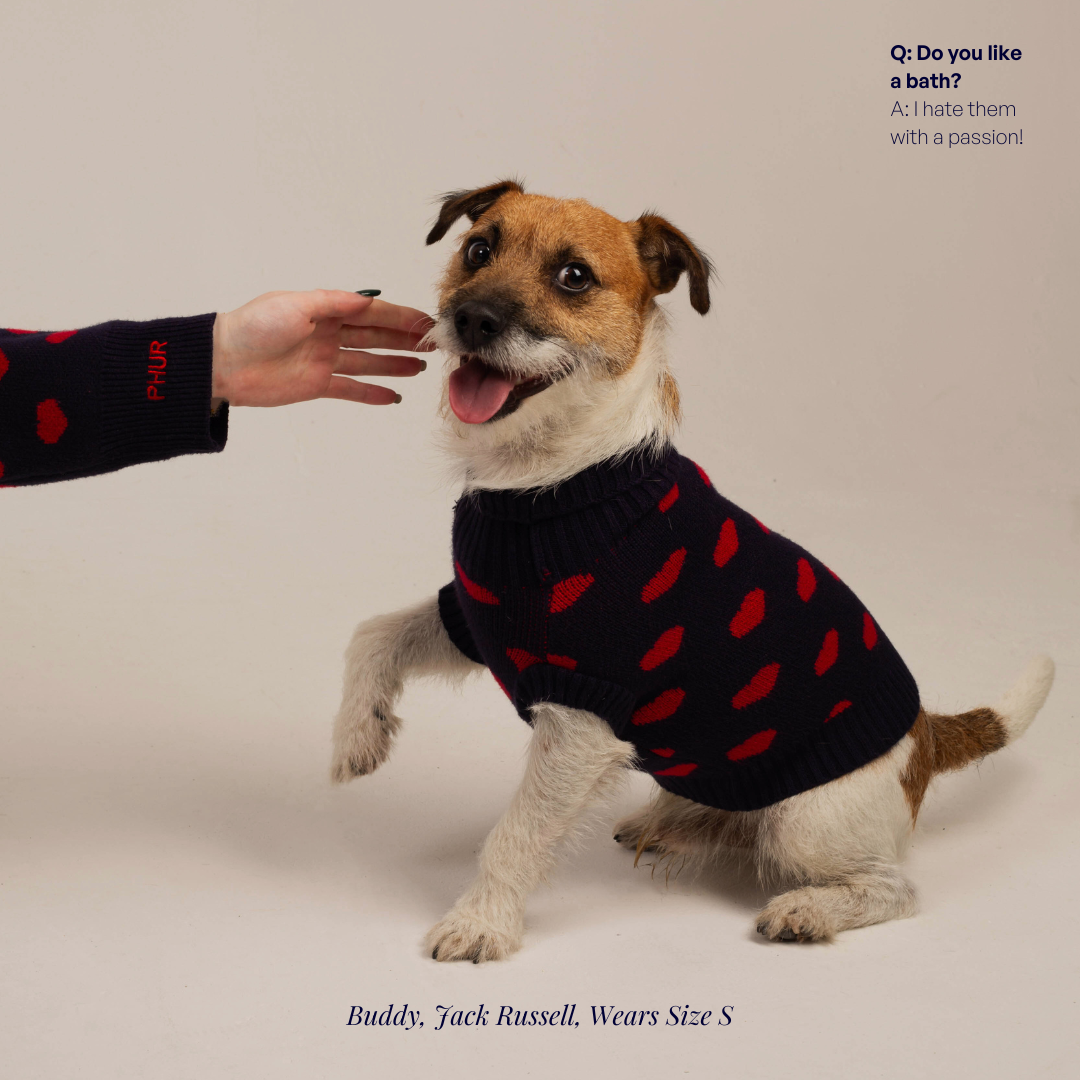 The Heart Dog Jumper