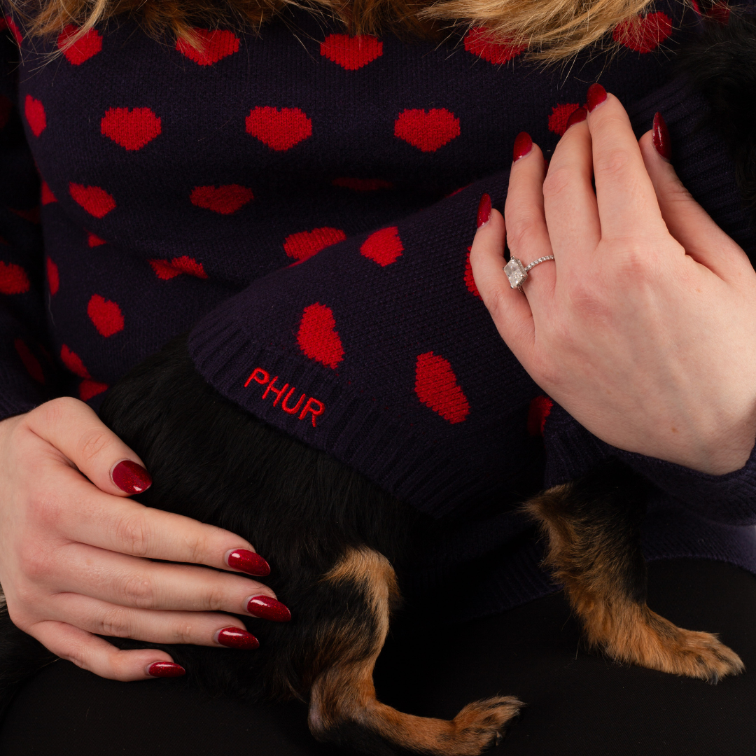 The Heart Dog Jumper